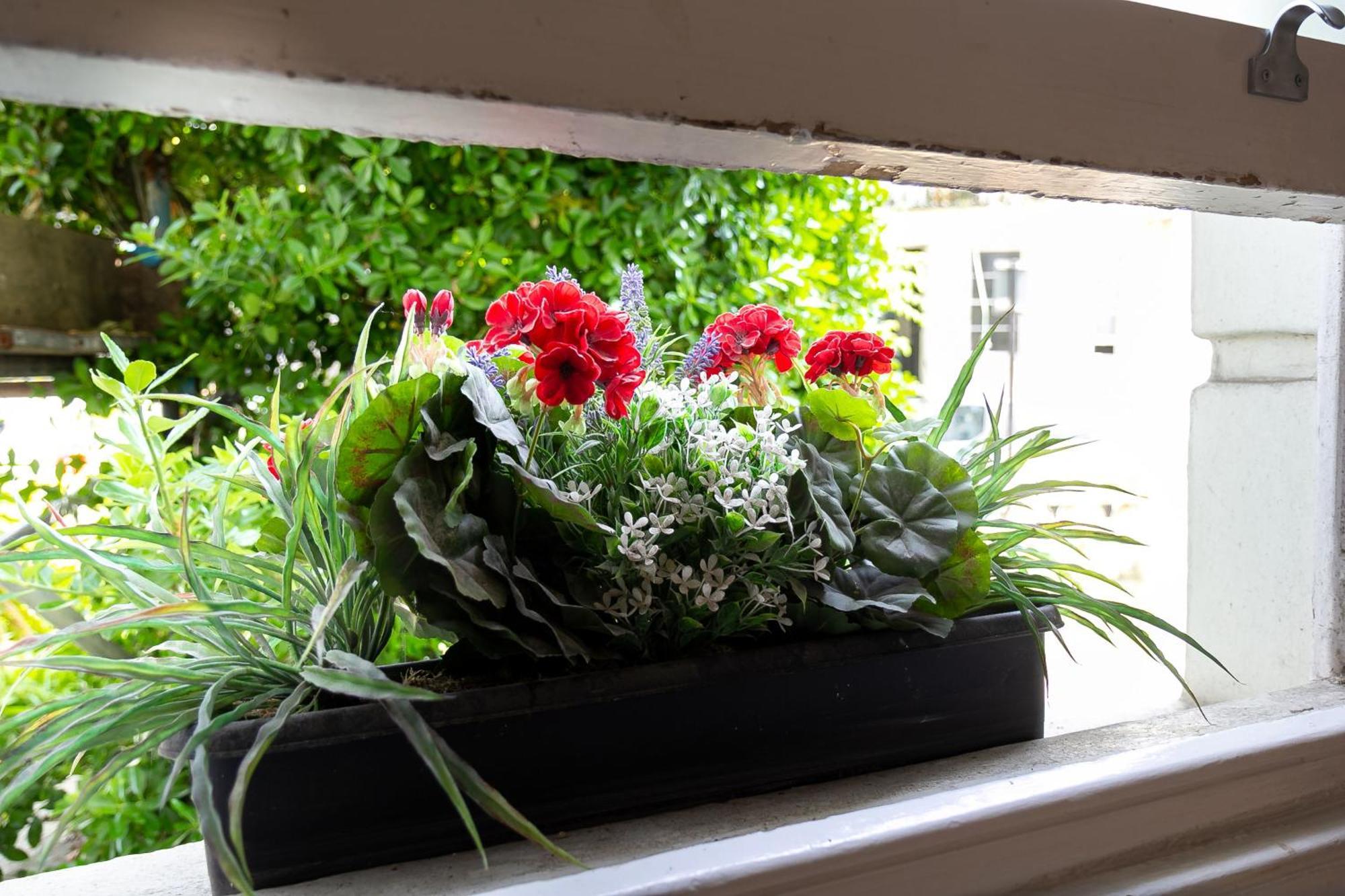 Brunswick - Brighton Regency Studio By The Sea エクステリア 写真
